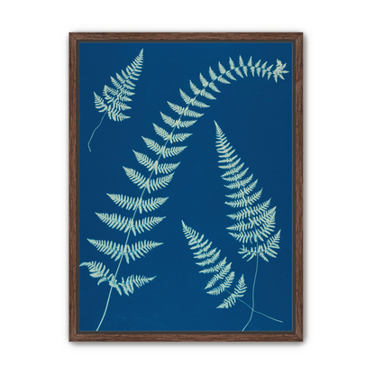 Fern shadows in blue