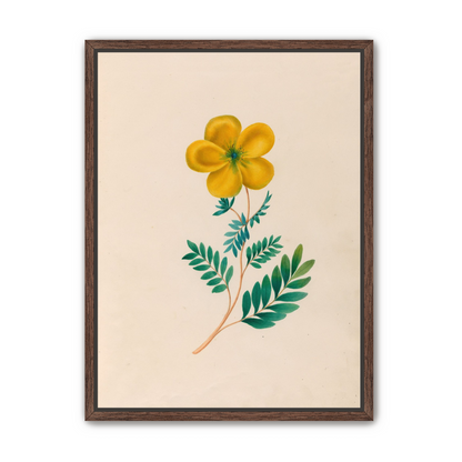 Yellow flower on pale paper