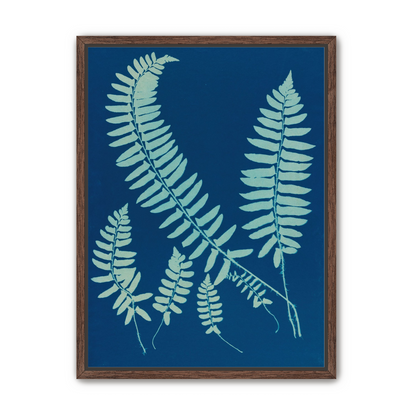 Fern shadows in blue