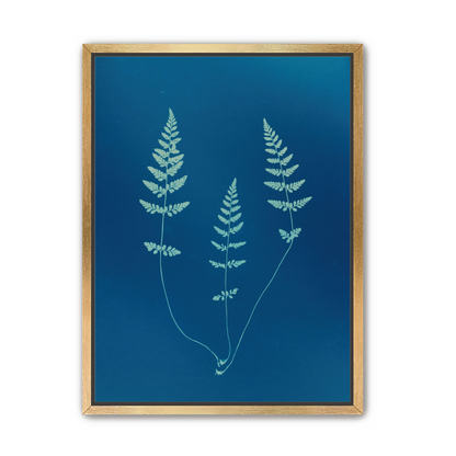 Three ferns in blue