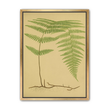 Green frond on tan paper