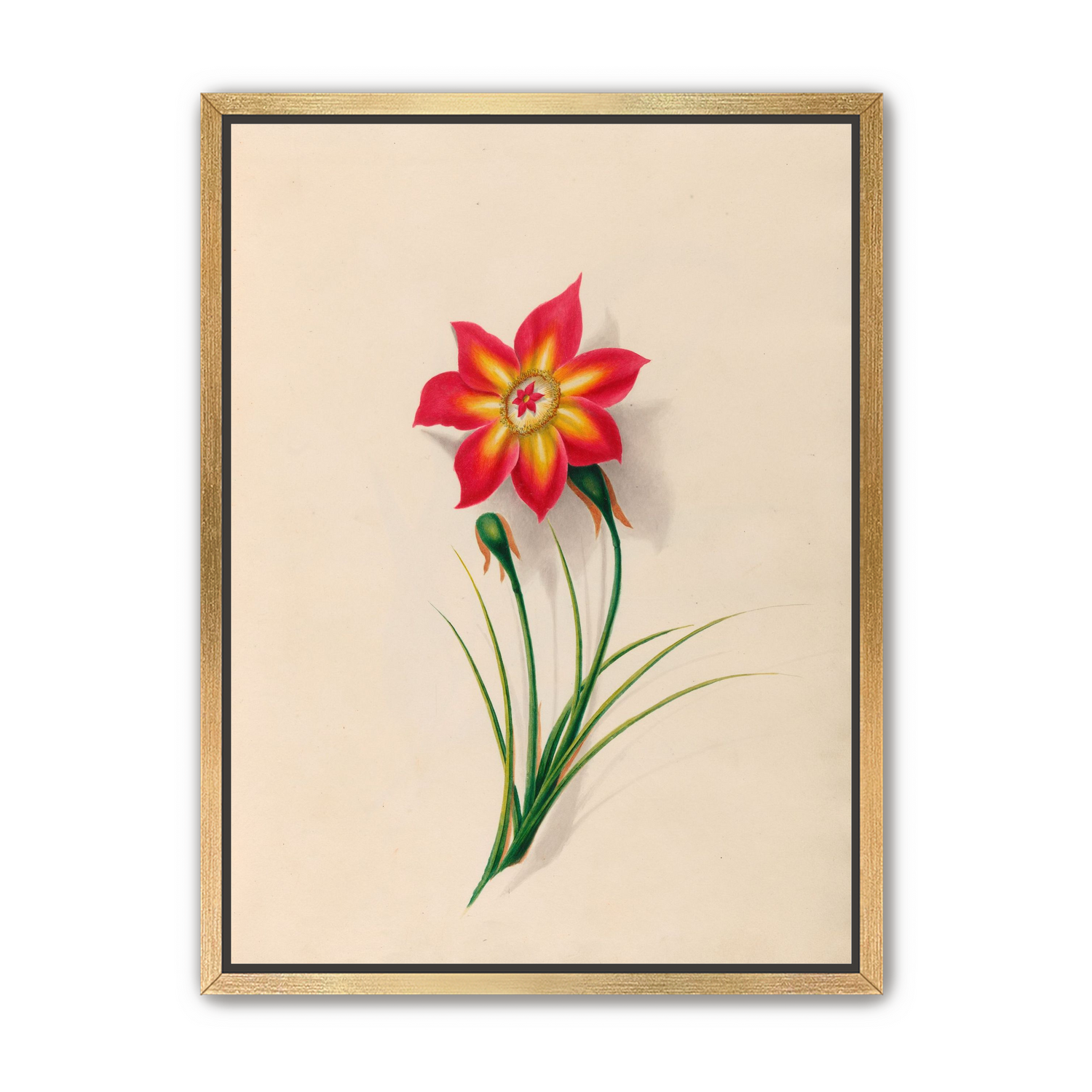 One flower above two buds
