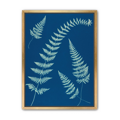 Fern shadows in blue