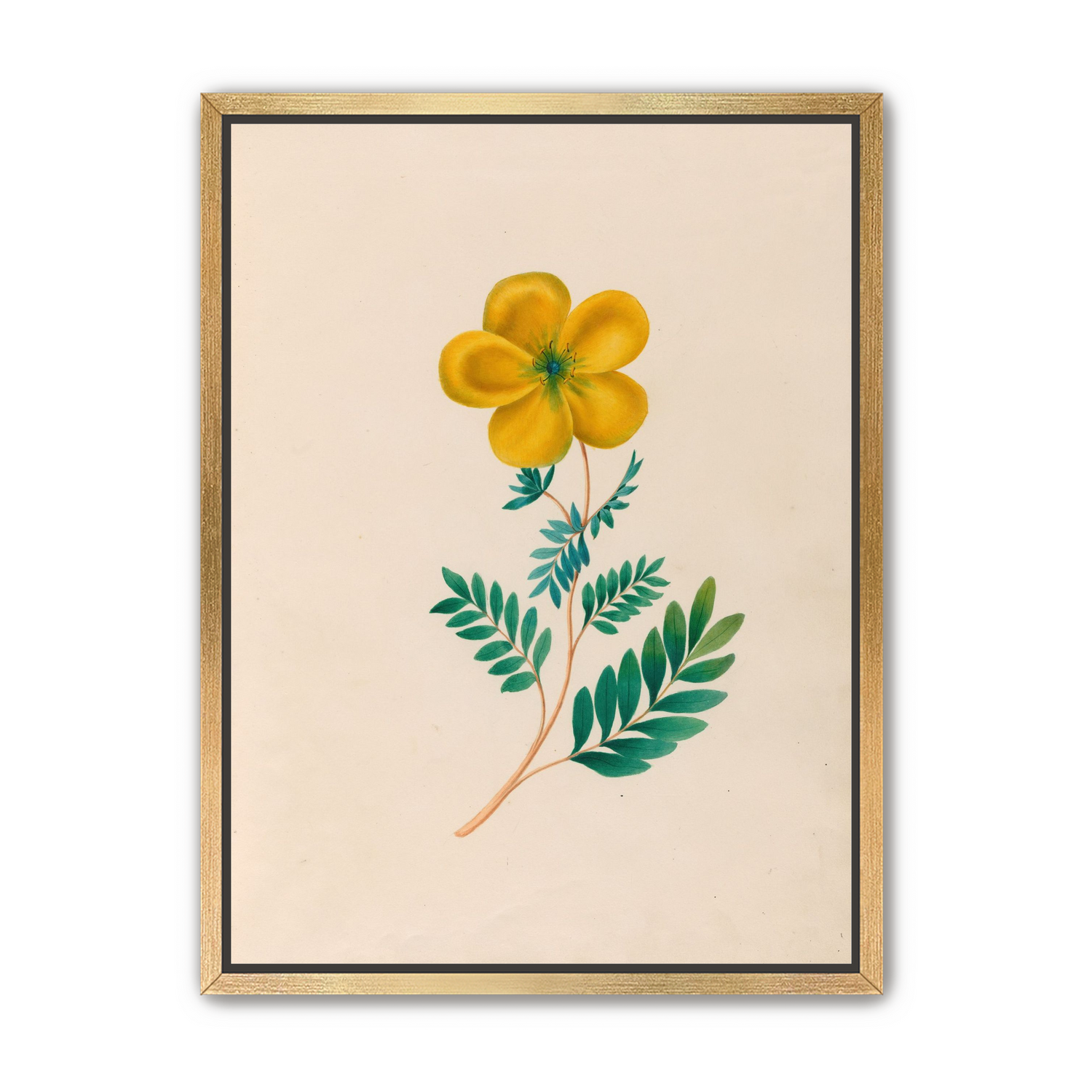 Yellow flower on pale paper