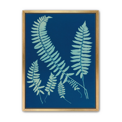 Fern shadows in blue