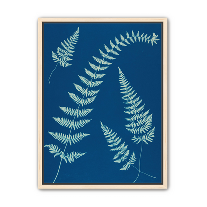 Fern shadows in blue
