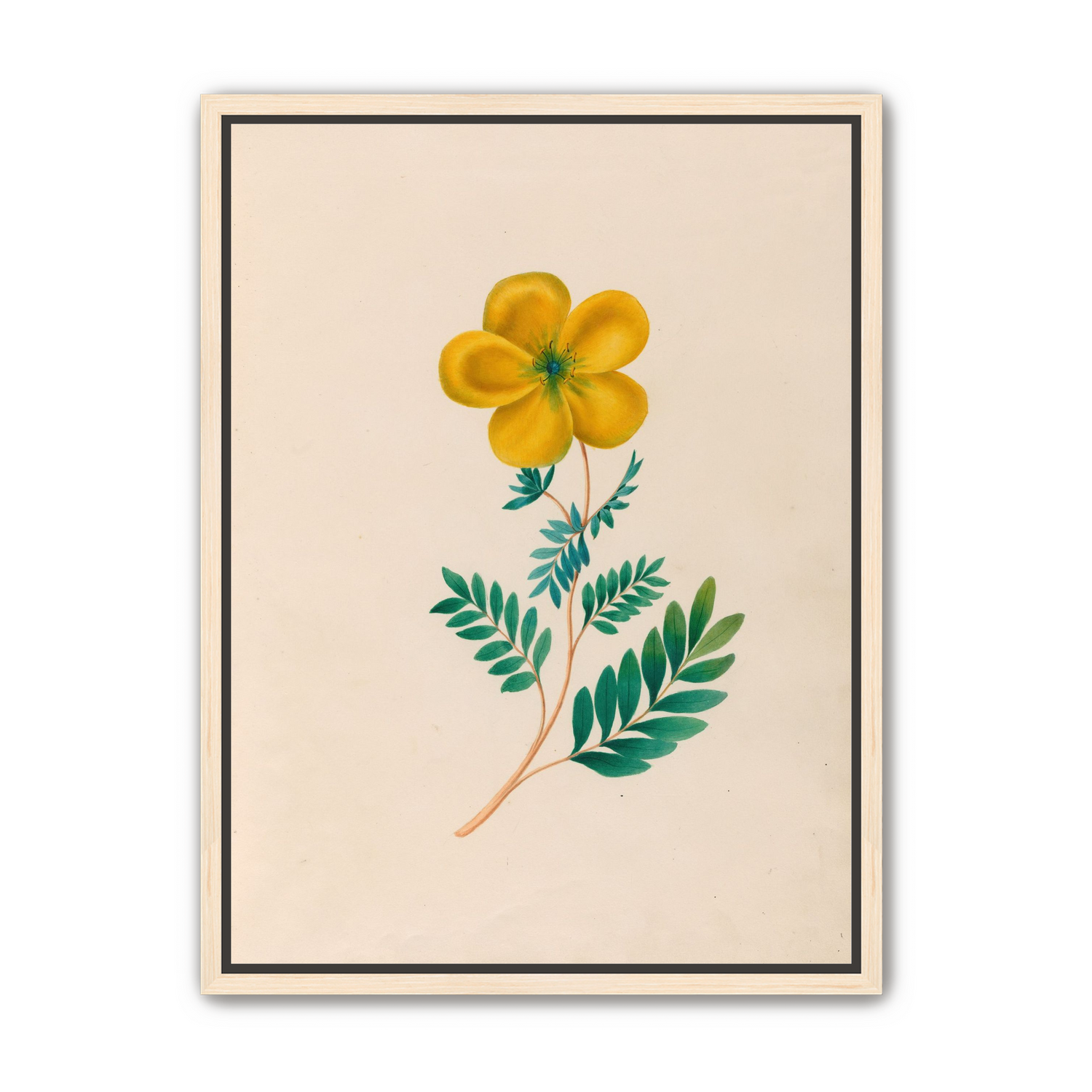 Yellow flower on pale paper
