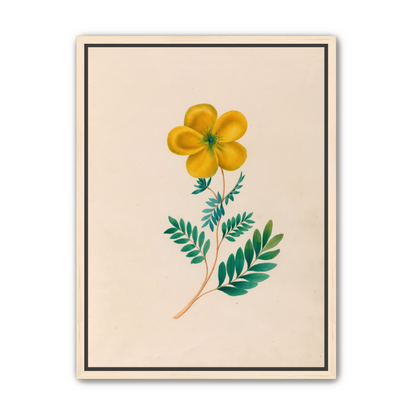 Yellow flower on pale paper