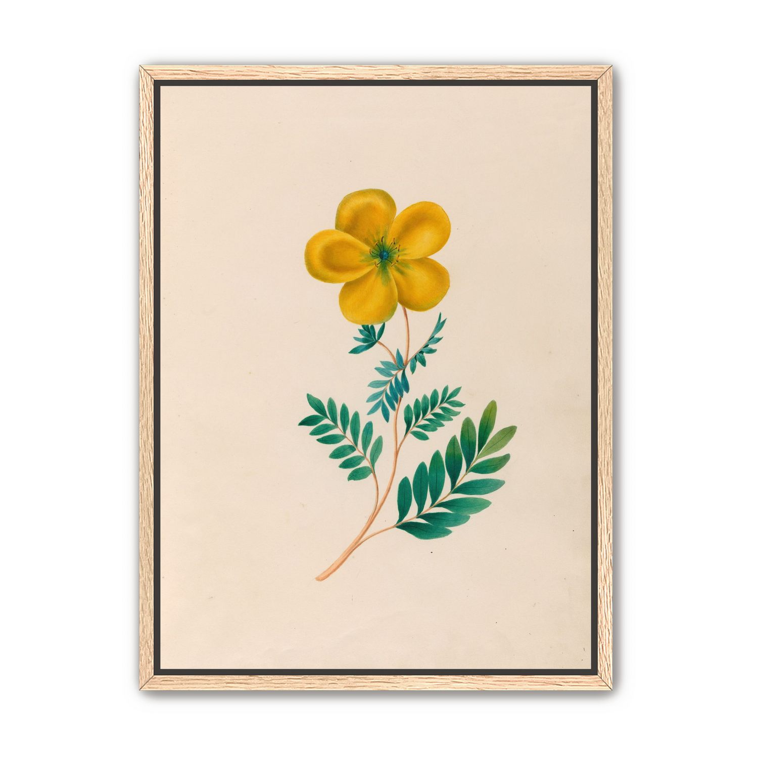 Yellow flower on pale paper