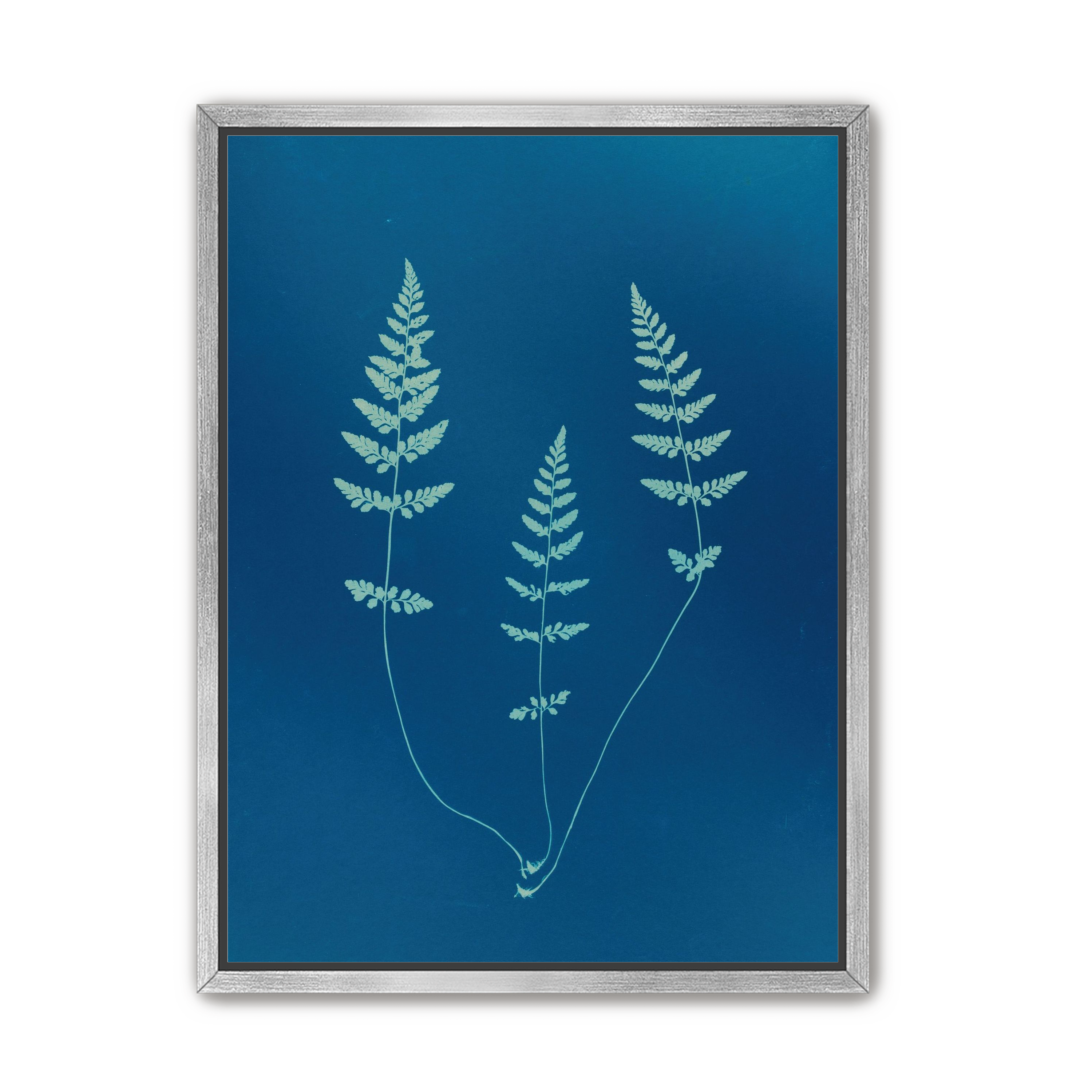 Three ferns in blue