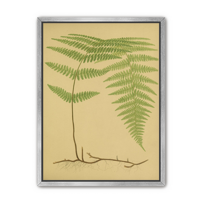 Green frond on tan paper