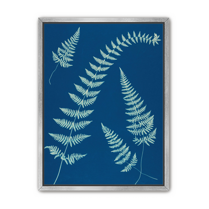 Fern shadows in blue