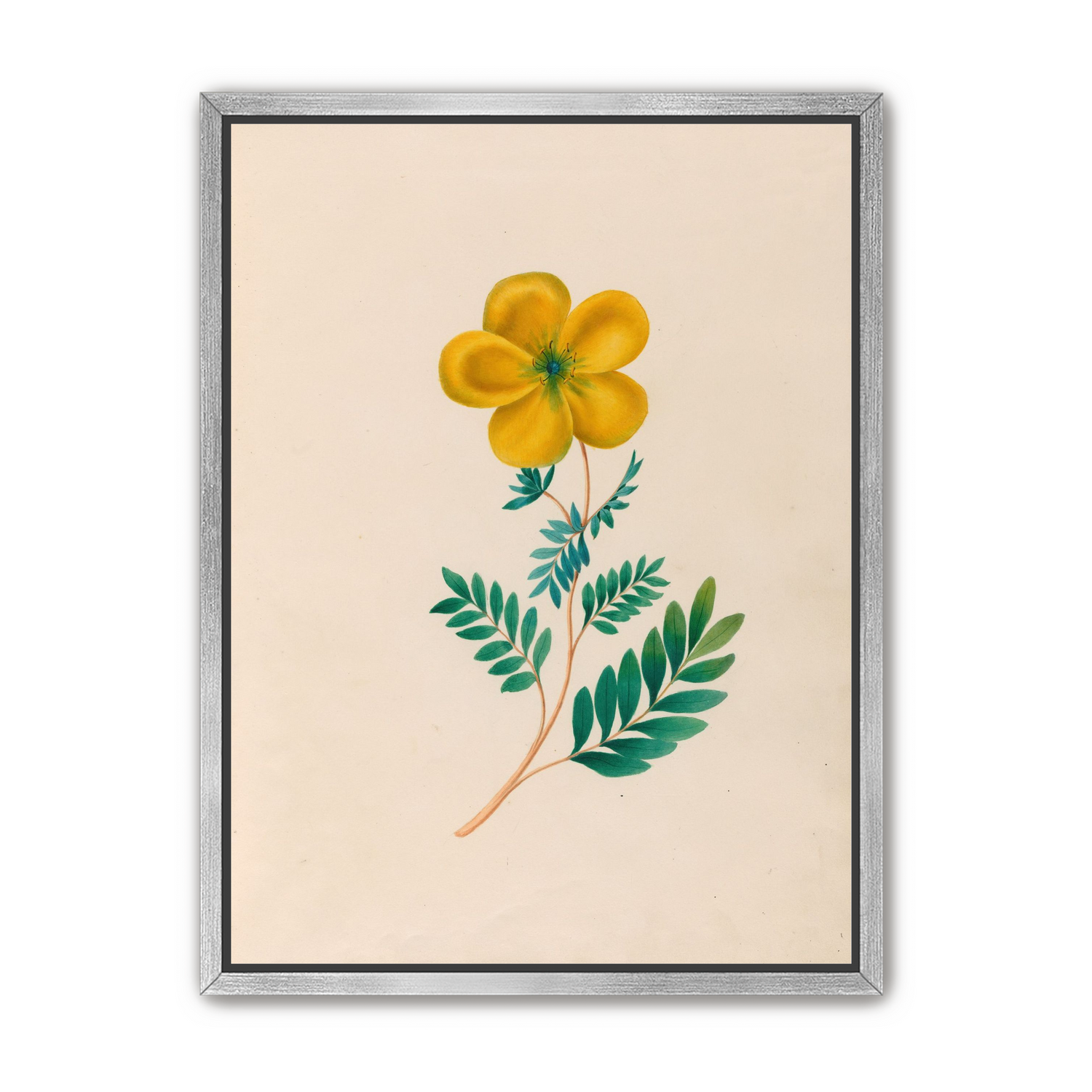 Yellow flower on pale paper