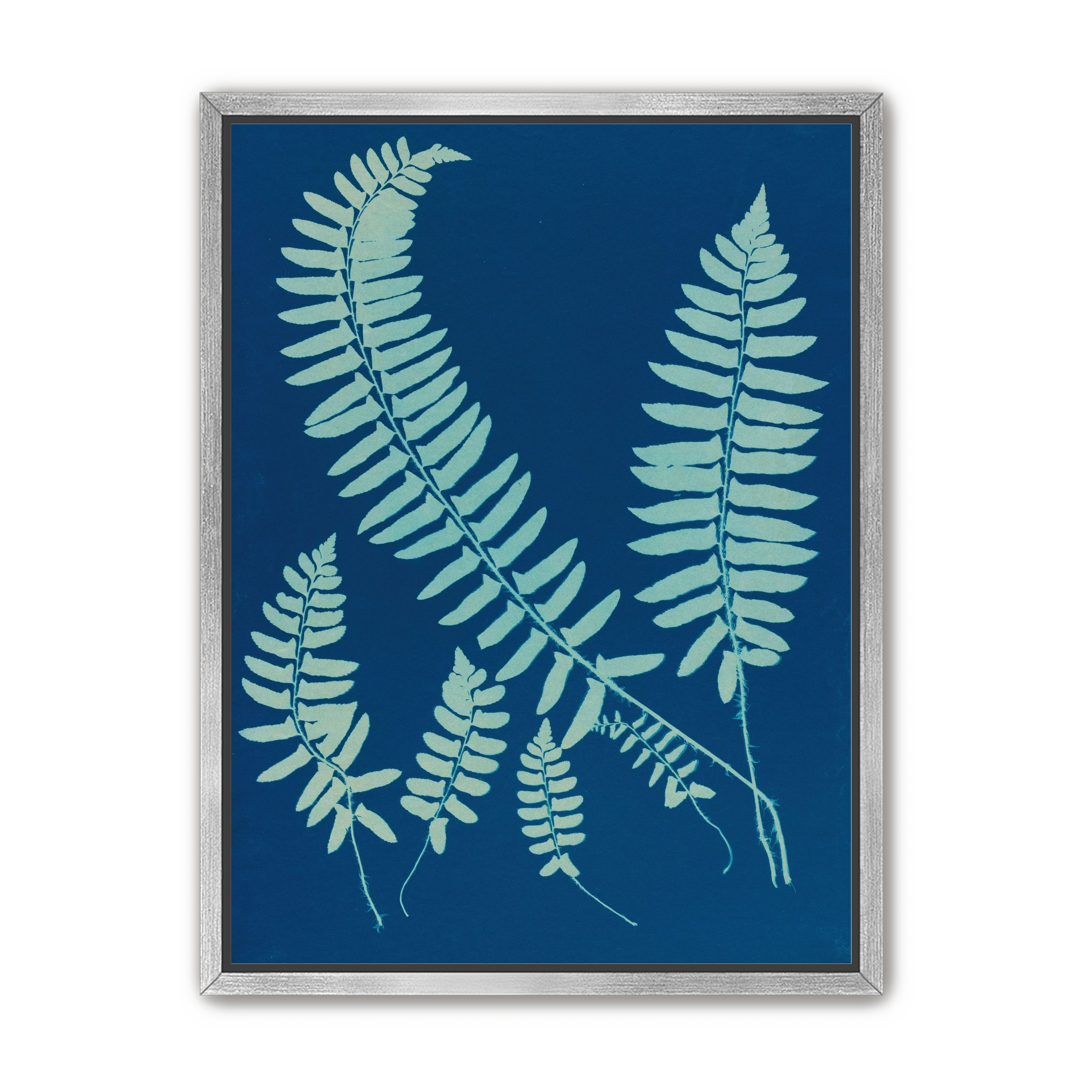 Fern shadows in blue