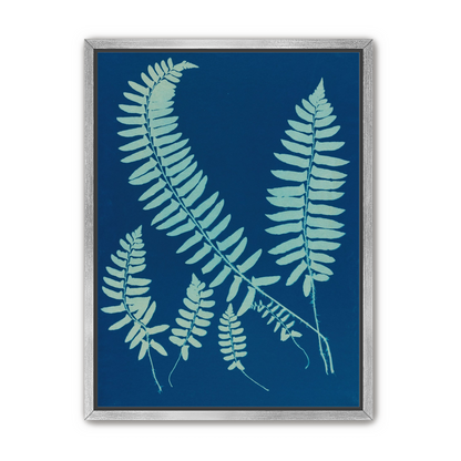 Fern shadows in blue