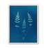 Three ferns in blue