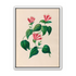 Three trumpets on a vine