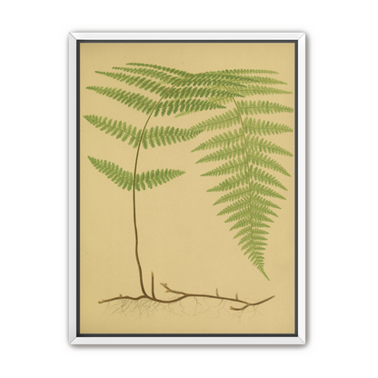 Green frond on tan paper