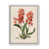 Red orchids on white paper
