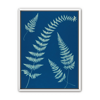 Fern shadows in blue