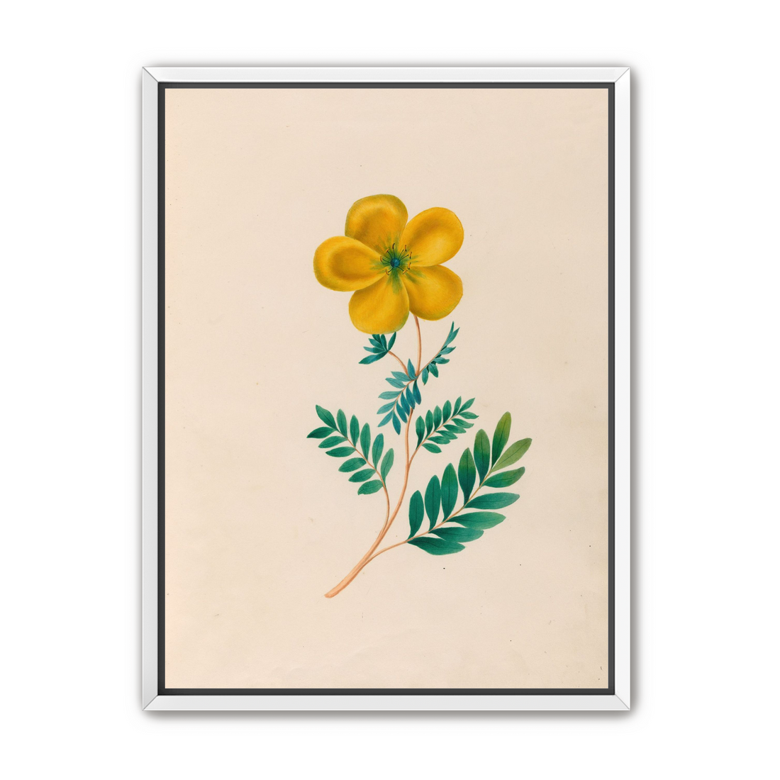 Yellow flower on pale paper