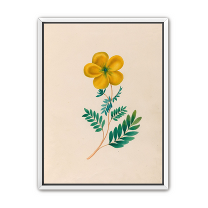 Yellow flower on pale paper