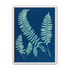 Fern shadows in blue