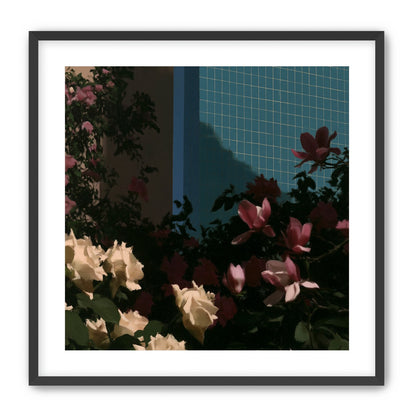 Flowers beneath the tiled wall