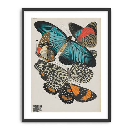 Turquoise wings over orange velvet