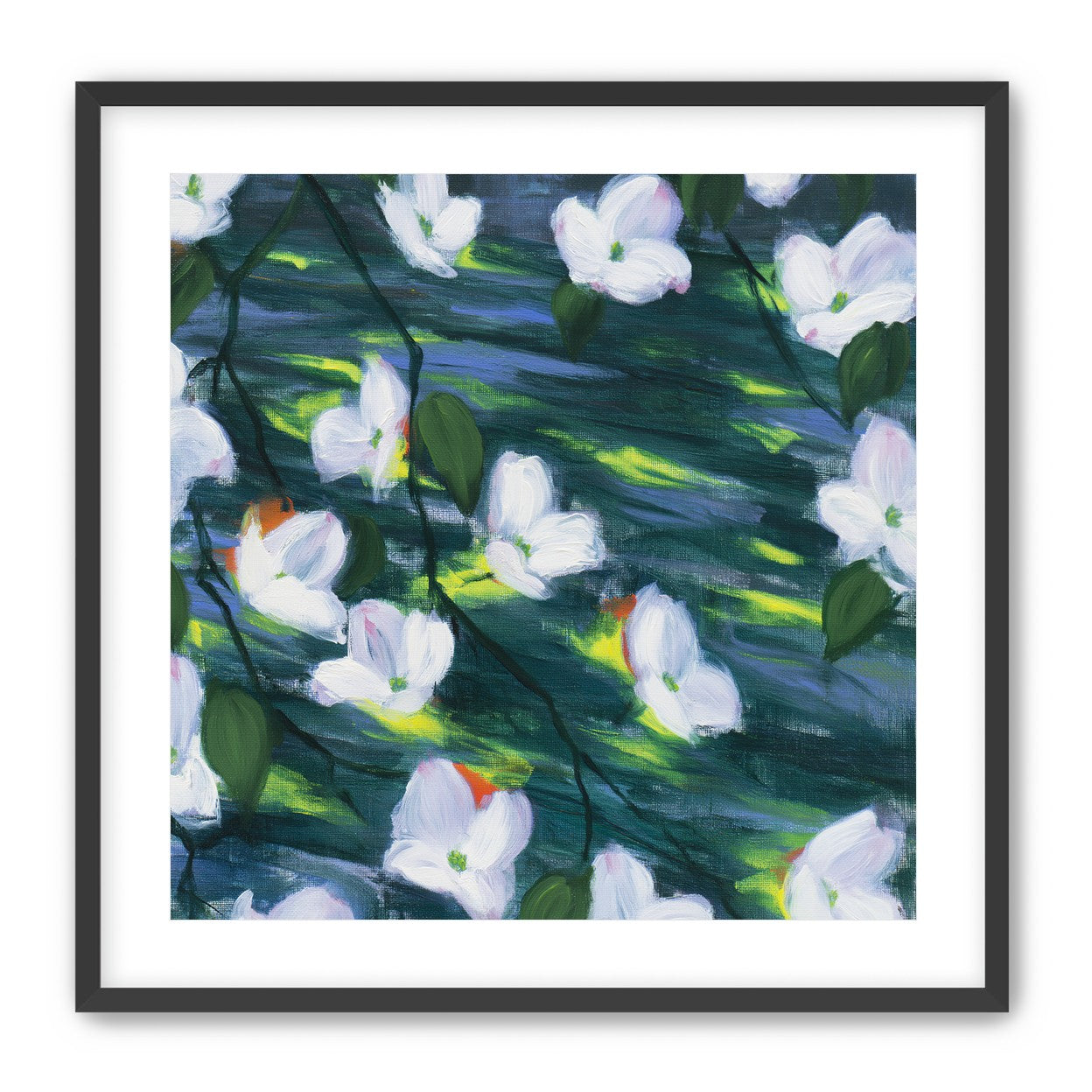 White blossoms on dark water