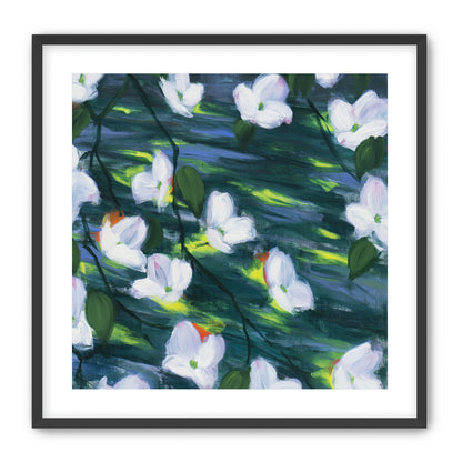 White blossoms on dark water