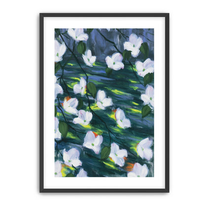 White blossoms on dark water