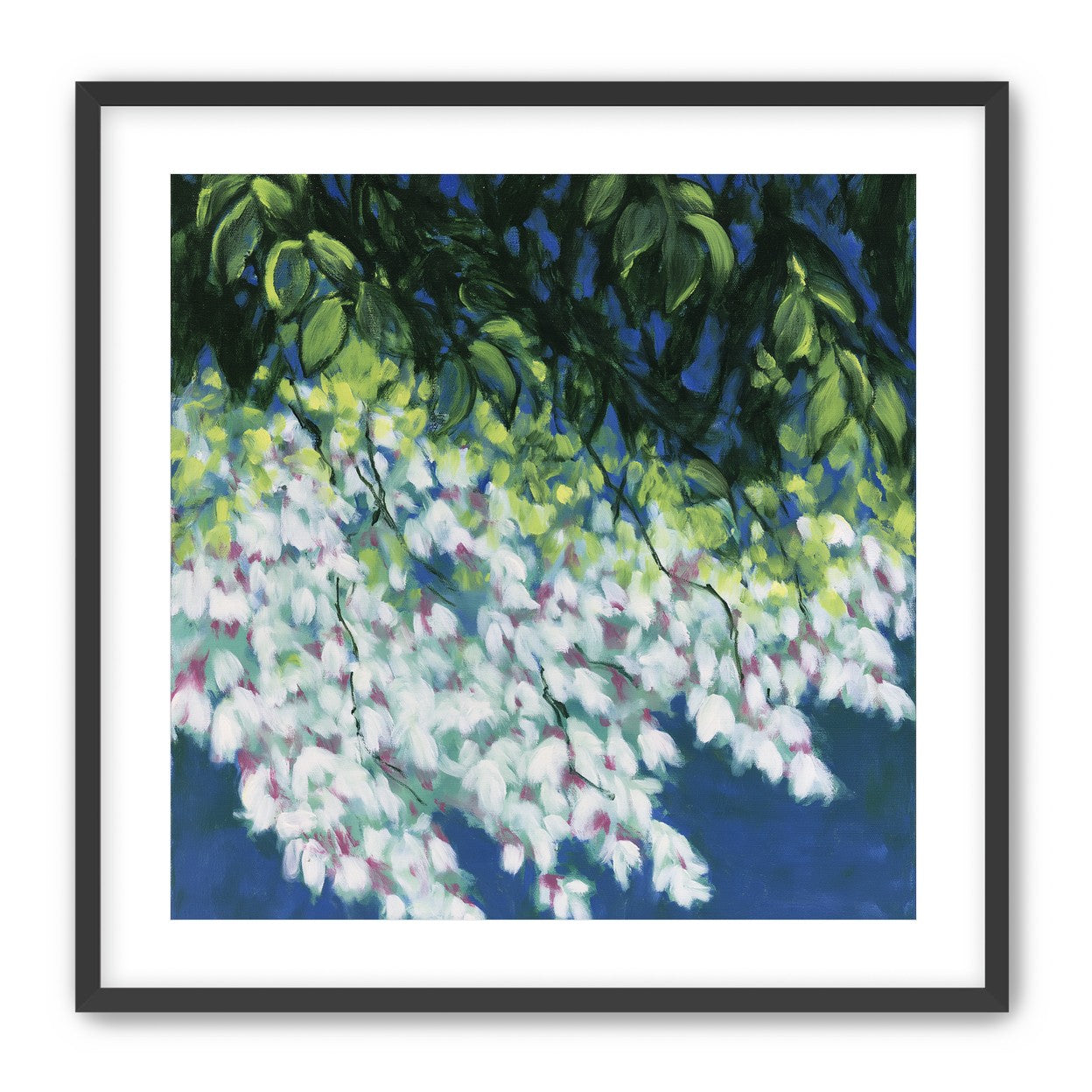 White blossoms in blue shade