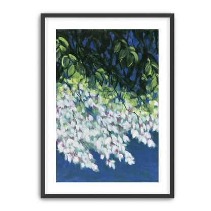White blossoms in blue shade