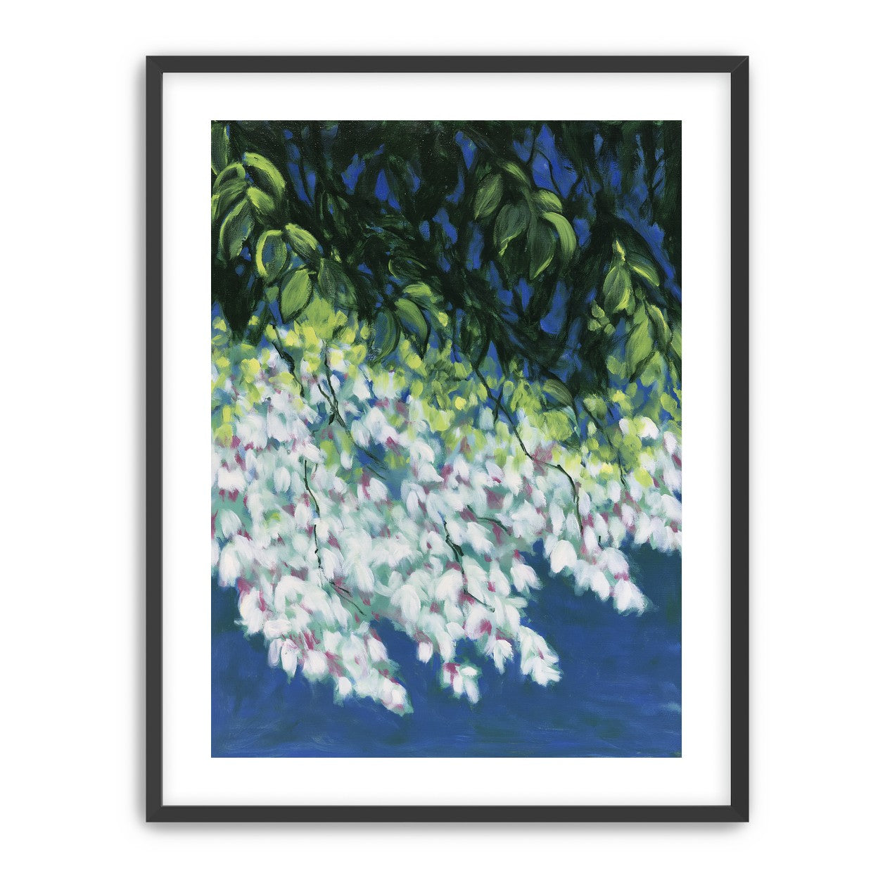 White blossoms in blue shade