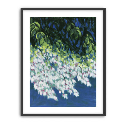 White blossoms in blue shade