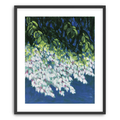 White blossoms in blue shade