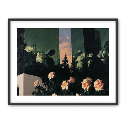 Roses under green towers