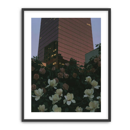 Pink tower above magnolias