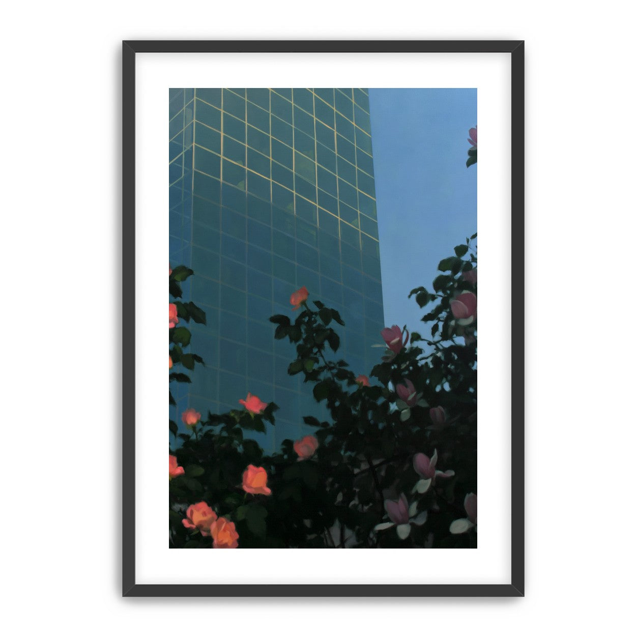 Roses beneath blue towers