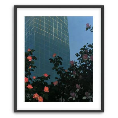 Roses beneath blue towers