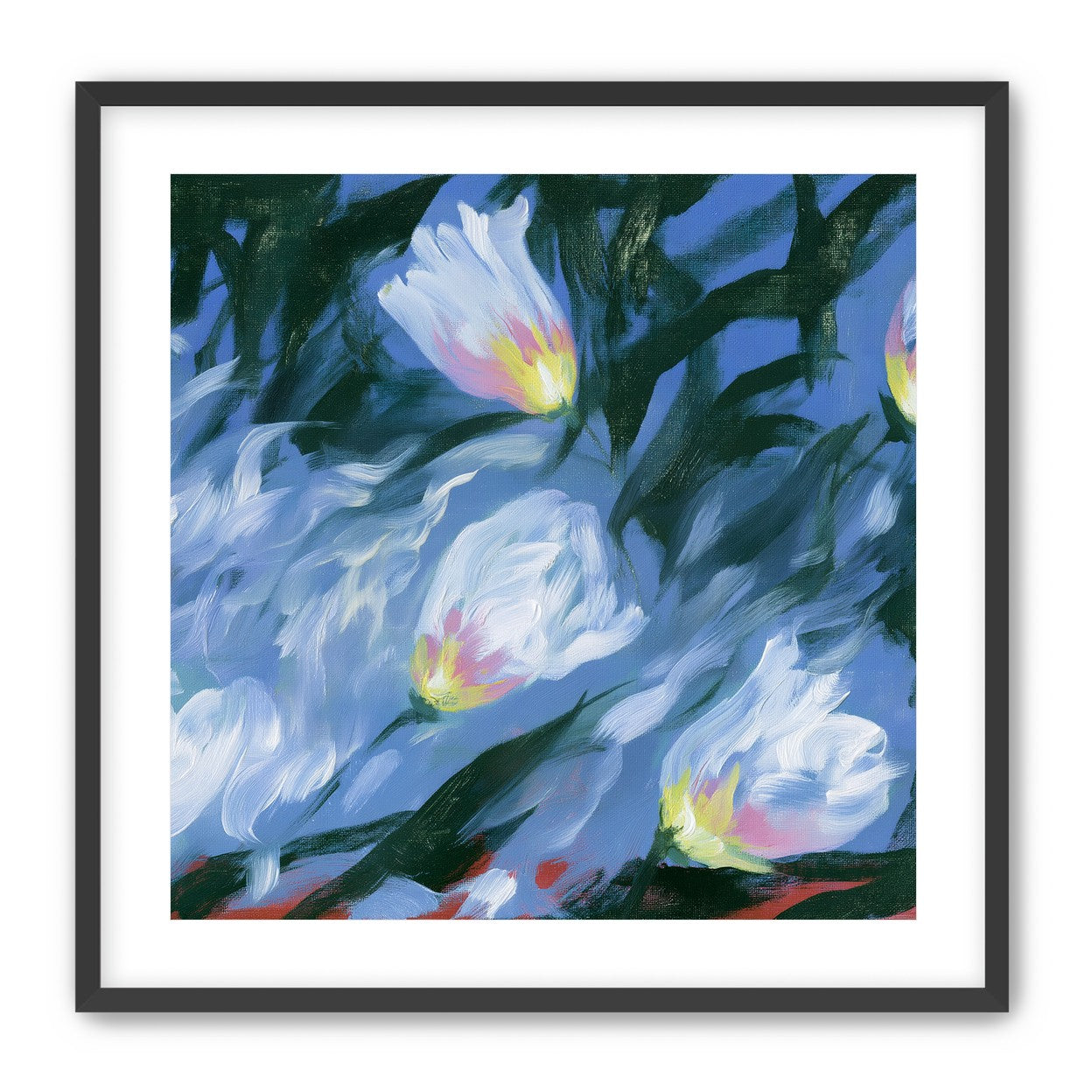White tulips on blue ground