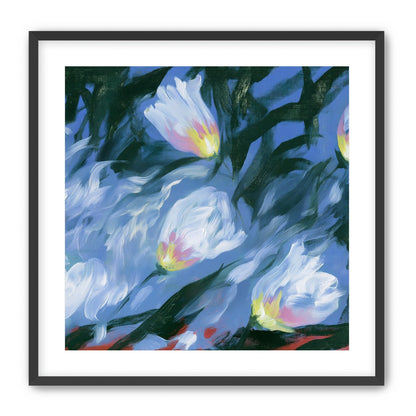 White tulips on blue ground
