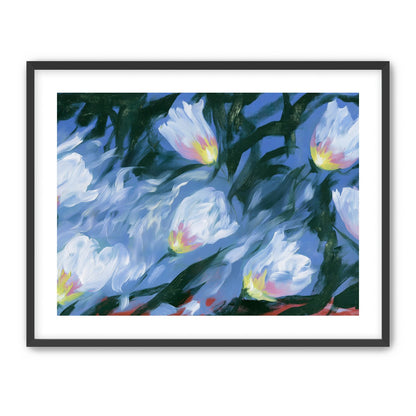 White tulips on blue ground
