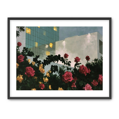 Roses under office lights