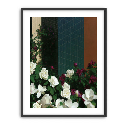 Roses against the blue grid