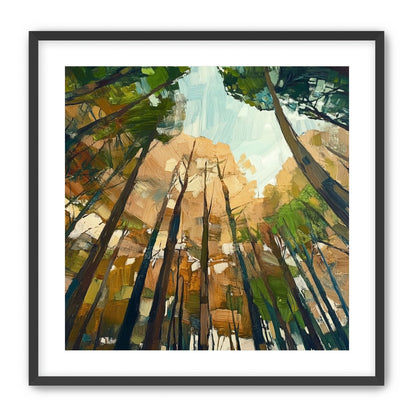 Canopy Lightfall