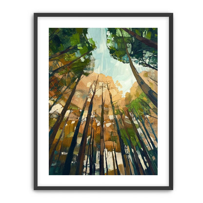Canopy Lightfall