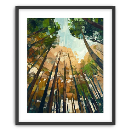 Canopy Lightfall