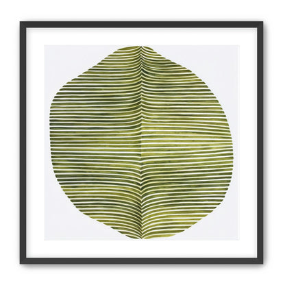Dark green stripes crease inward